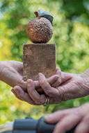 Twee handen houden samen het Appeltje van Oranje-beeldje vast